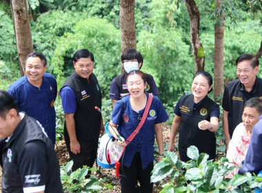 รมช.เกษตรฯ ลุยเชียงรายปราบ "ด้วงหนวดยาว" ถล่มสวนกาแฟ ดัน ... พารามิเตอร์รูปภาพ 11